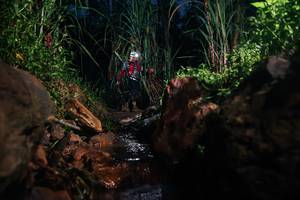 BIB: 
                            <button type="button" onclick="openModal(26416656)" class="btn btn-primary btn-sm float-right btn-popup" data-toggle="modal" data-target=".modal-high-quality">
                        <i class="fas fa-shopping-cart"></i> Add to Cart
                    </button>
                                            <button type="button" onclick="isThisMe(26416656, true)" class="btn btn-success btn-sm float-right btn-popup btn-isme hidden" data-toggle="tooltip" data-placement="bottom" title="นี่คือรูปของคุณใช่ไหม คลิกที่นี่เพื่อเอาเข้าอัลบั้ม">
                        <i class="fas fa-plus"></i> Add to album
                    </button>
                    <button type="button" onclick="isThisMe(26416656, false)" class="btn btn-warning btn-sm float-right btn-popup btn-isnotme hidden">
                        <i class="fas fa-ban"></i> Remove from album
                    </button>